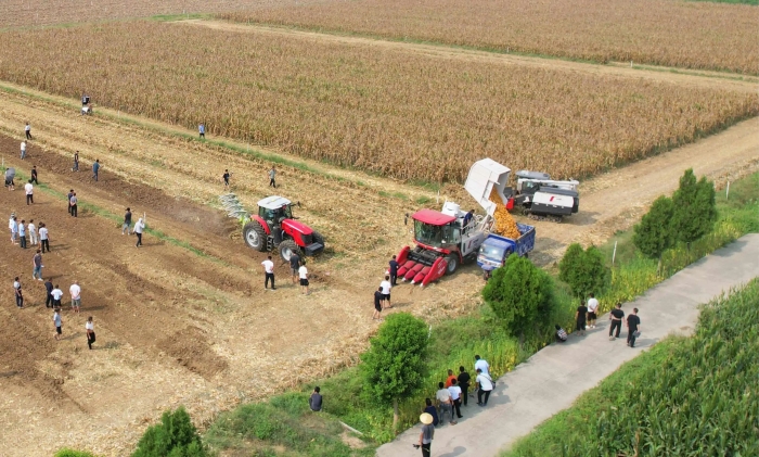 e3f8b84e0fbc4f29b6861aa40fdbd063