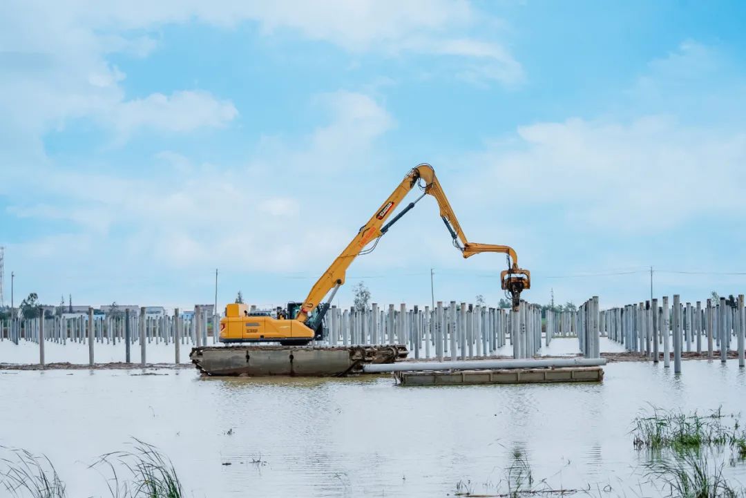 NG电子游戏·(中国区)官方网站